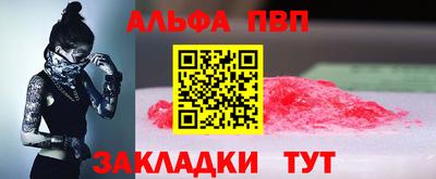 стафф Донской