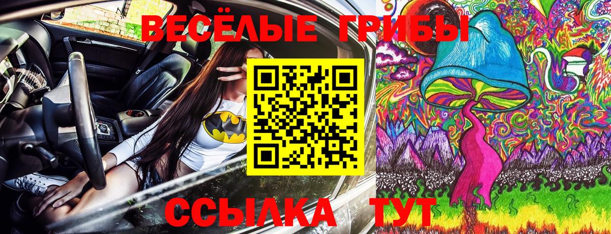 Галлюциногенные грибы мухоморы Муром
